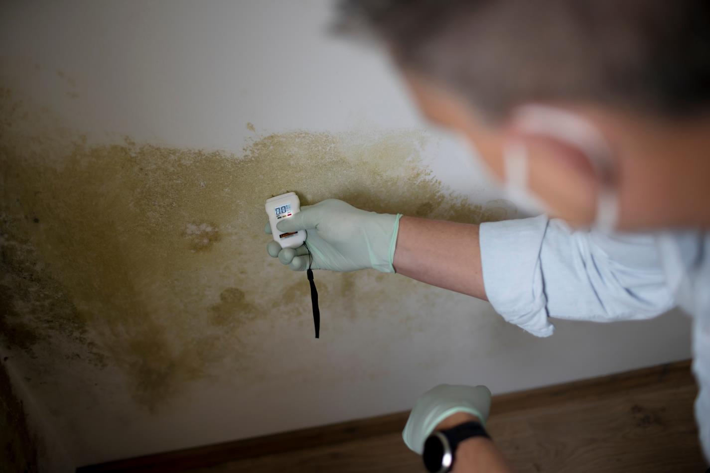 A man looking at some water damage on a houses drywall